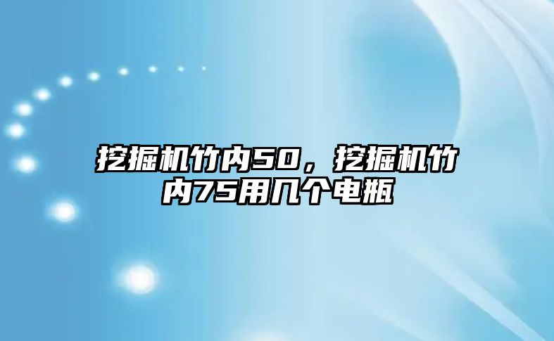 挖掘機(jī)竹內(nèi)50，挖掘機(jī)竹內(nèi)75用幾個(gè)電瓶