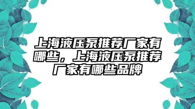 上海液壓泵推薦廠家有哪些，上海液壓泵推薦廠家有哪些品牌