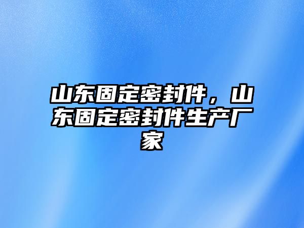 山東固定密封件，山東固定密封件生產(chǎn)廠家