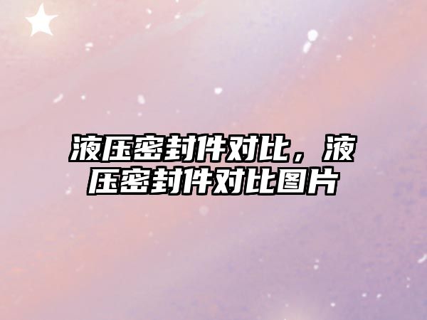 液壓密封件對比，液壓密封件對比圖片