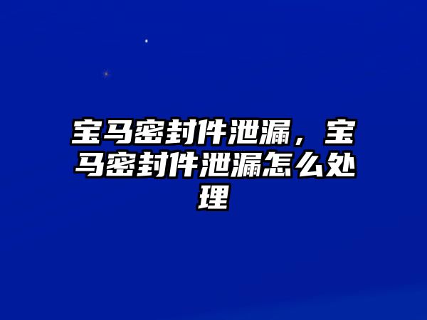 寶馬密封件泄漏，寶馬密封件泄漏怎么處理