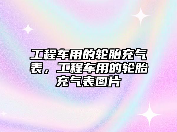 工程車用的輪胎充氣表，工程車用的輪胎充氣表圖片