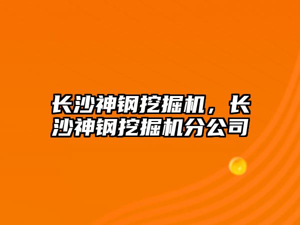 長沙神鋼挖掘機，長沙神鋼挖掘機分公司