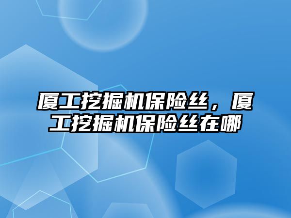 廈工挖掘機保險絲，廈工挖掘機保險絲在哪