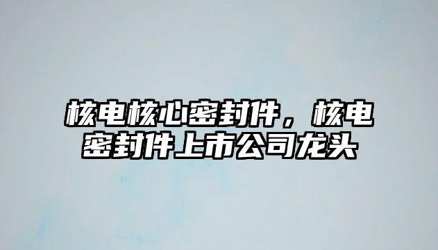 核電核心密封件，核電密封件上市公司龍頭