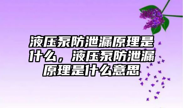 液壓泵防泄漏原理是什么，液壓泵防泄漏原理是什么意思