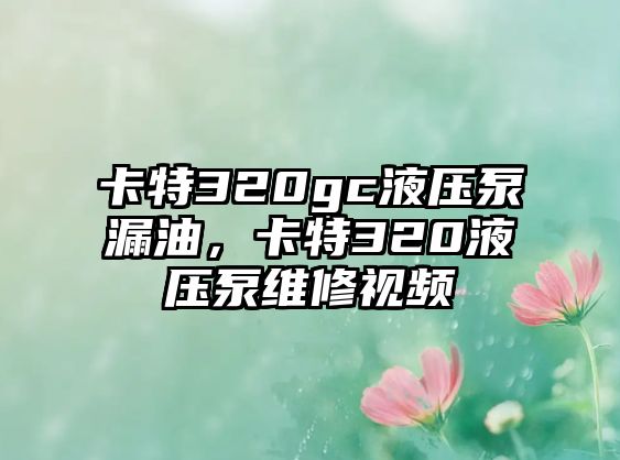 卡特320gc液壓泵漏油，卡特320液壓泵維修視頻