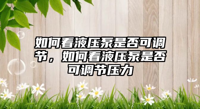 如何看液壓泵是否可調(diào)節(jié)，如何看液壓泵是否可調(diào)節(jié)壓力