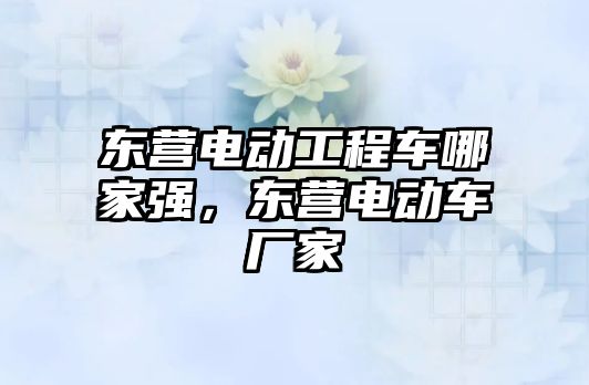 東營電動工程車哪家強，東營電動車廠家