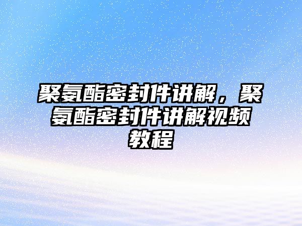 聚氨酯密封件講解，聚氨酯密封件講解視頻教程