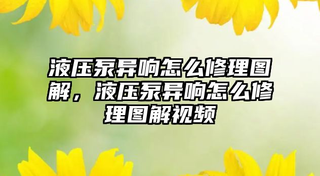 液壓泵異響怎么修理圖解，液壓泵異響怎么修理圖解視頻