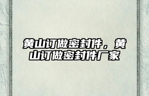 黃山訂做密封件，黃山訂做密封件廠家