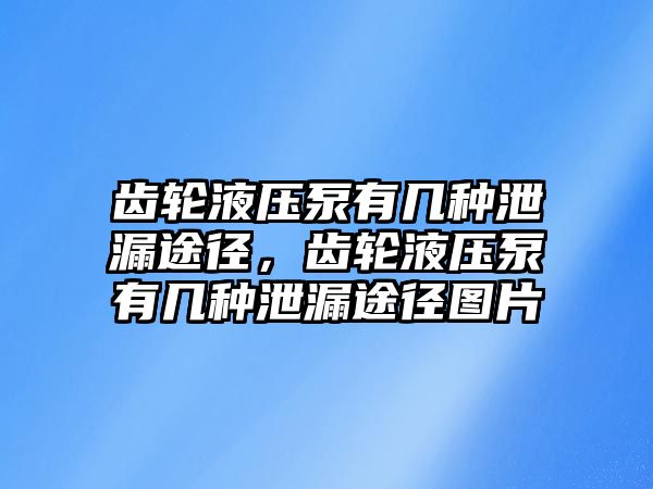 齒輪液壓泵有幾種泄漏途徑，齒輪液壓泵有幾種泄漏途徑圖片