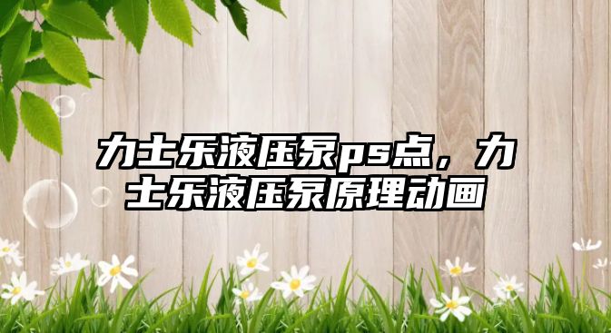 力士樂液壓泵ps點(diǎn)，力士樂液壓泵原理動(dòng)畫