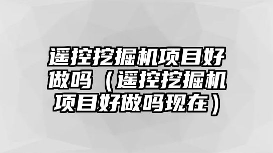 遙控挖掘機項目好做嗎（遙控挖掘機項目好做嗎現在）