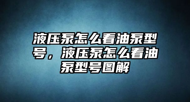 液壓泵怎么看油泵型號，液壓泵怎么看油泵型號圖解