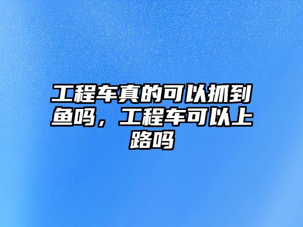 工程車真的可以抓到魚(yú)嗎，工程車可以上路嗎