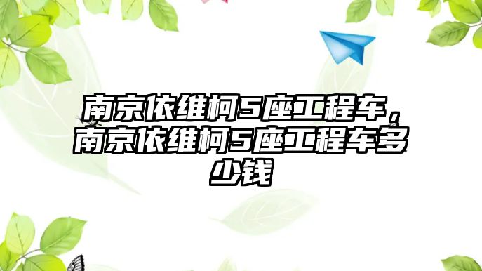 南京依維柯5座工程車，南京依維柯5座工程車多少錢