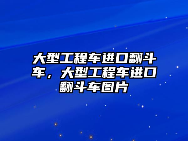 大型工程車進(jìn)口翻斗車，大型工程車進(jìn)口翻斗車圖片