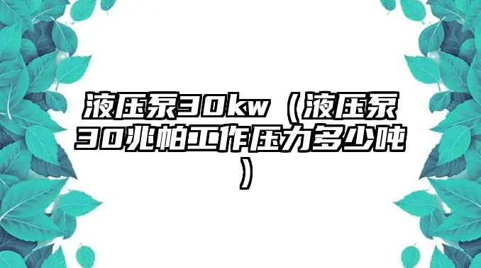 液壓泵30kw（液壓泵30兆帕工作壓力多少?lài)崳? class=