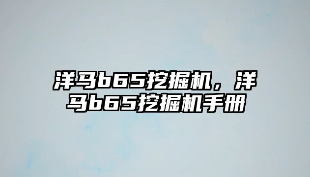 洋馬b65挖掘機(jī)，洋馬b65挖掘機(jī)手冊