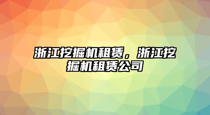 浙江挖掘機租賃，浙江挖掘機租賃公司