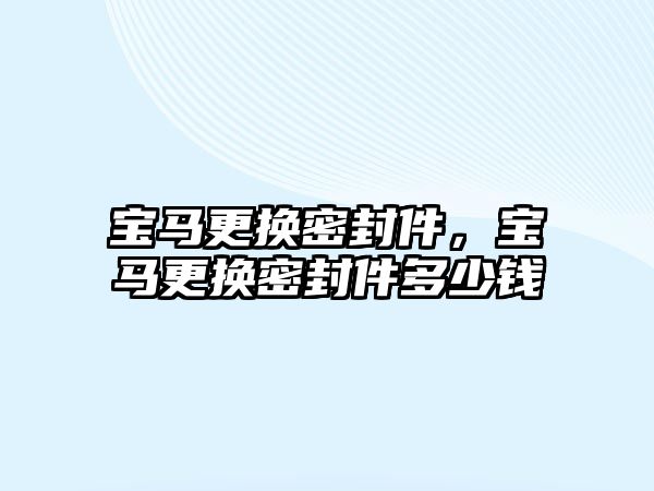 寶馬更換密封件，寶馬更換密封件多少錢