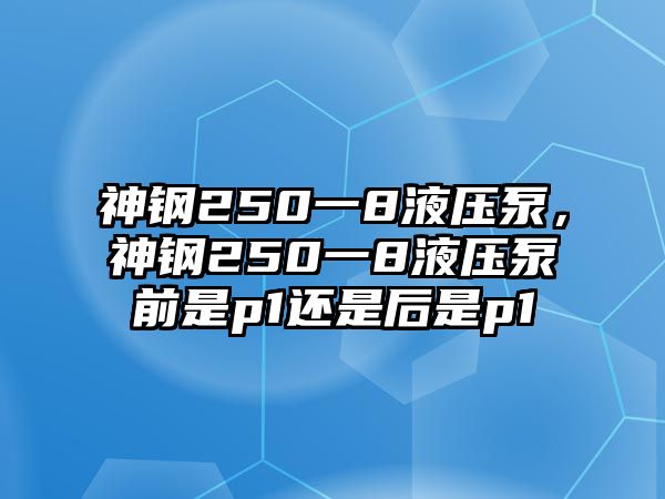 神鋼250一8液壓泵，神鋼250一8液壓泵前是p1還是后是p1