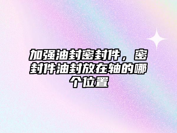 加強油封密封件，密封件油封放在軸的哪個位置