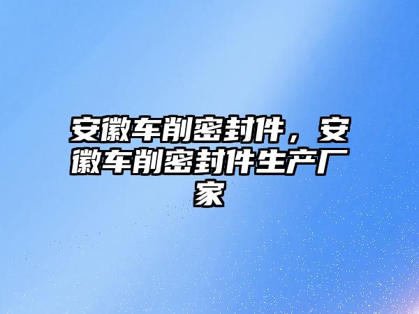 安徽車削密封件，安徽車削密封件生產(chǎn)廠家