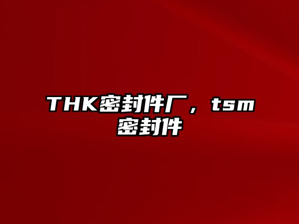 THK密封件廠，tsm密封件