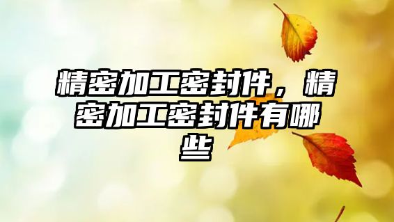 精密加工密封件，精密加工密封件有哪些