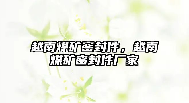 越南煤礦密封件，越南煤礦密封件廠家