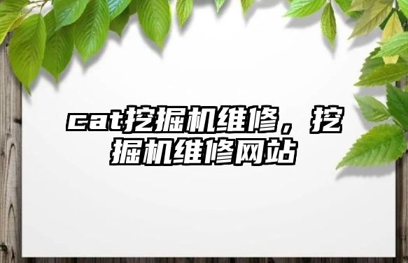 cat挖掘機維修，挖掘機維修網(wǎng)站