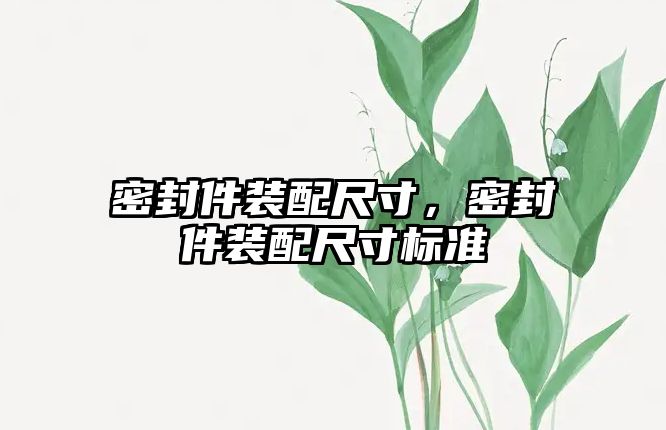 密封件裝配尺寸，密封件裝配尺寸標(biāo)準(zhǔn)