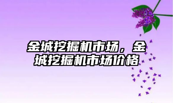 金城挖掘機市場，金城挖掘機市場價格