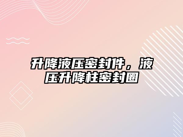 升降液壓密封件，液壓升降柱密封圈