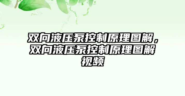 雙向液壓泵控制原理圖解，雙向液壓泵控制原理圖解視頻