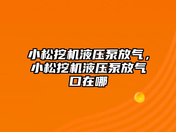 小松挖機(jī)液壓泵放氣，小松挖機(jī)液壓泵放氣口在哪