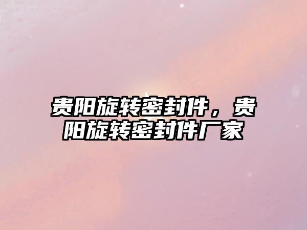 貴陽旋轉密封件，貴陽旋轉密封件廠家