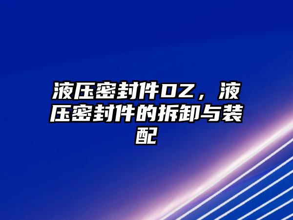 液壓密封件DZ，液壓密封件的拆卸與裝配