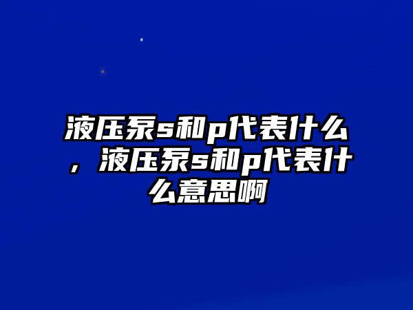 液壓泵s和p代表什么，液壓泵s和p代表什么意思啊