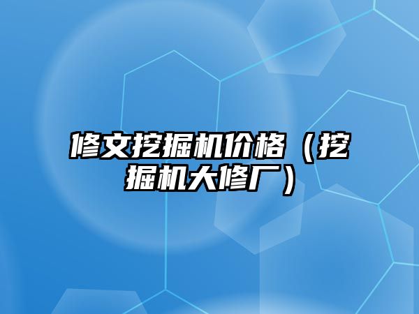 修文挖掘機價格（挖掘機大修廠）