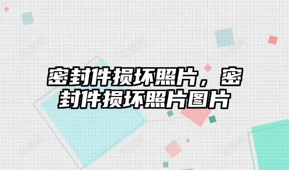 密封件損壞照片，密封件損壞照片圖片