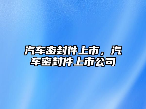 汽車密封件上市，汽車密封件上市公司