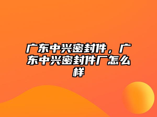 廣東中興密封件，廣東中興密封件廠怎么樣