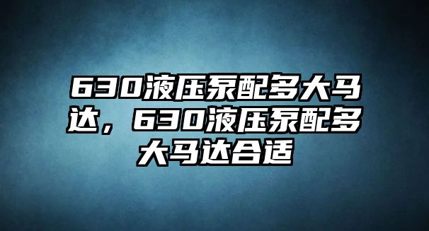 630液壓泵配多大馬達(dá)，630液壓泵配多大馬達(dá)合適