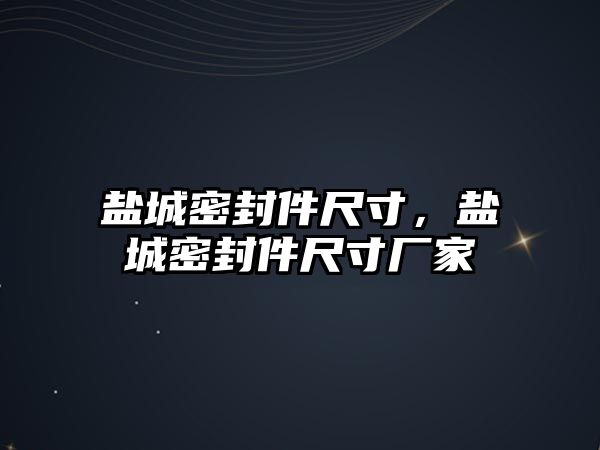 鹽城密封件尺寸，鹽城密封件尺寸廠家