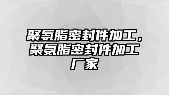 聚氨脂密封件加工，聚氨脂密封件加工廠家