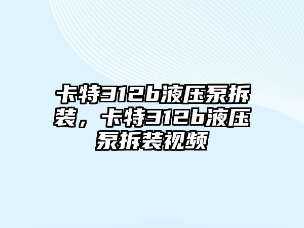 卡特312b液壓泵拆裝，卡特312b液壓泵拆裝視頻